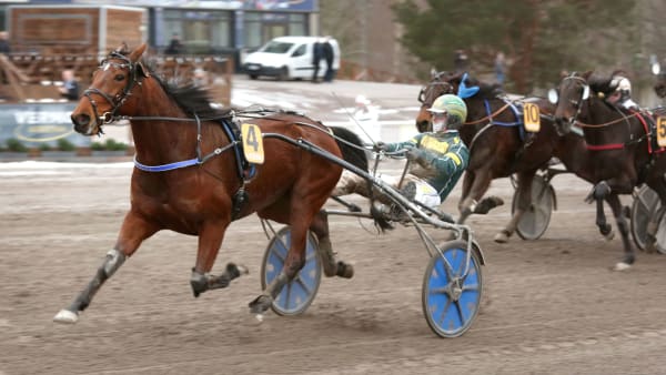Foto: PEKKA SALONEN/SUOMEN HIPPOS