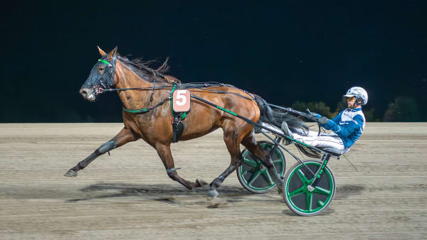 Foto: MIKAEL ROSENQUIST / TR BILD