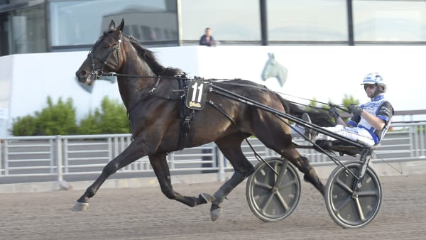 Foto: LARS JAKOBSSON / TR BILD