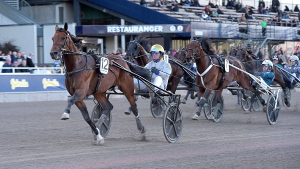 Foto: LARS JAKOBSSON / TR BILD