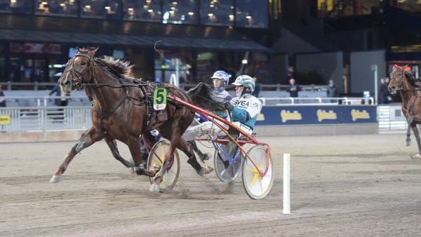 Foto: LARS JAKOBSSON / TR BILD