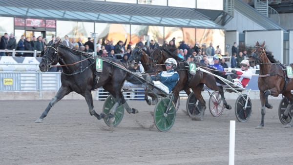 Foto: LARS JAKOBSSON / TR BILD