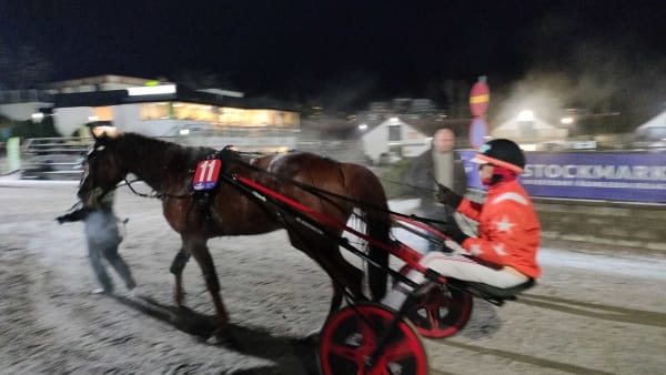 Foto: LUCAS ERICSSON/TR BILD