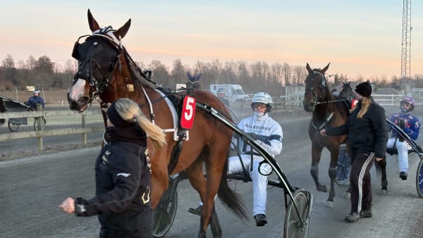 Foto: EMIL PERSSON/TR BILD