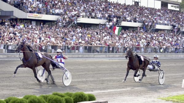 Foto: THOMAS BLOMQVIST / TR BILD