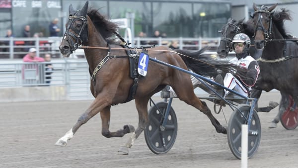Foto: LARS JAKOBSSON / TR BILD
