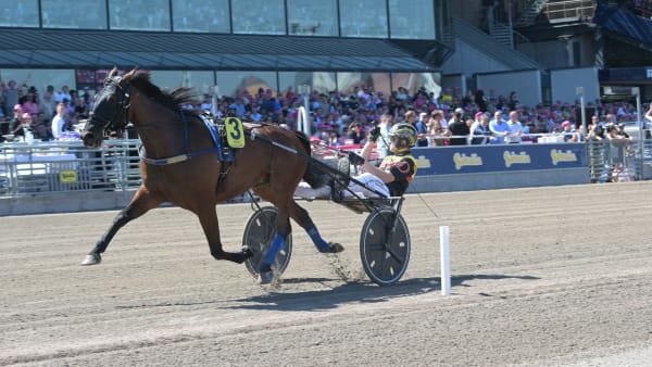 Foto: LARS JAKOBSSON/TR BILD