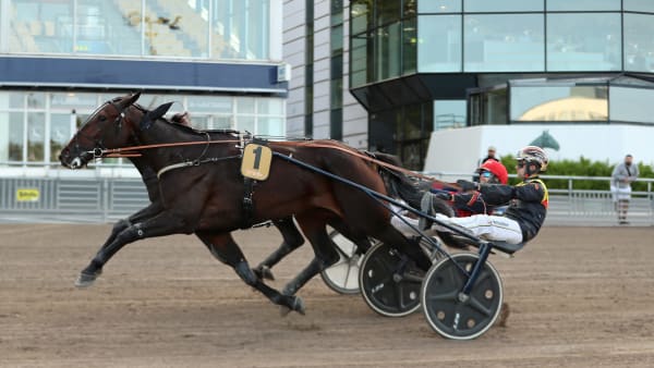 Foto: MARIA HOLMÉN / TR BILD