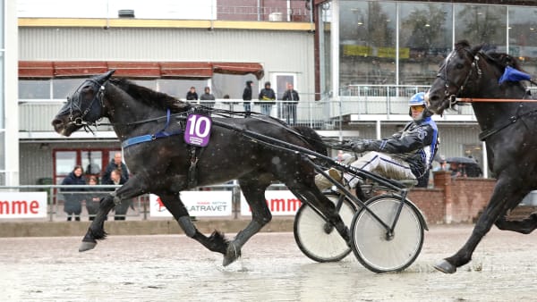 Foto: MARIA HOLMÉN / TR BILD