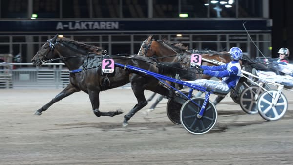 Foto: LARS JAKOBSSON / TR BILD