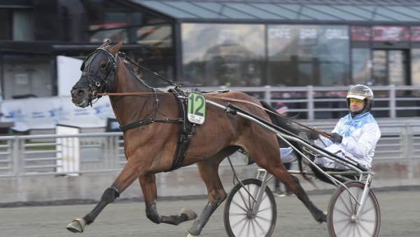 Foto: LARS JAKOBSSON / TR BILD