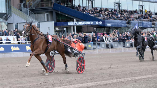 Foto: LARS JAKOBSSON / TR BILD