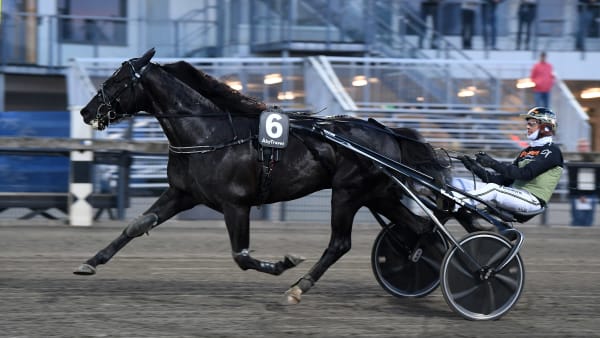 Foto: MALIN ALBINSSON / TR BILD