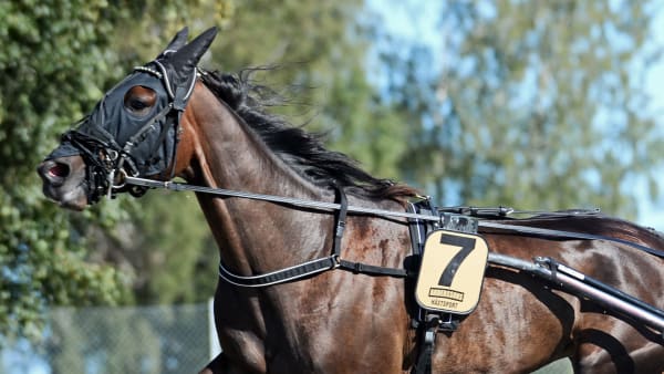 Foto: MALIN ALBINSSON/TR BILD