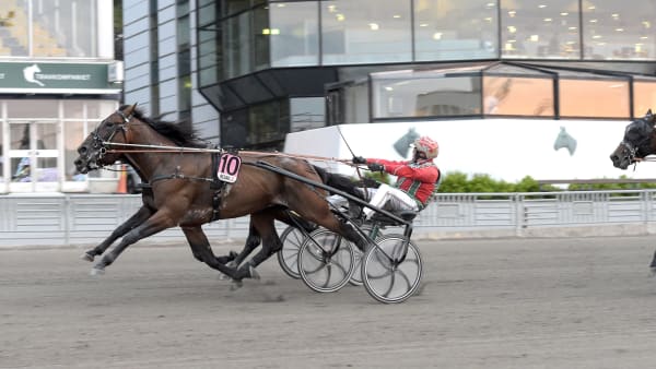 Foto: LARS JAKOBSSON / TR BILD