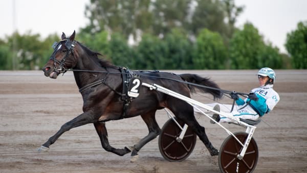 Foto: MIKAEL ROSENQUIST / TR BILD