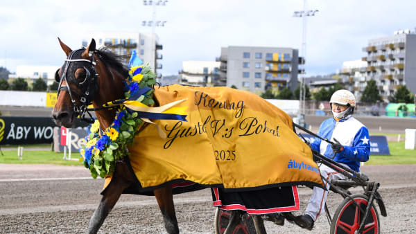 Foto: MALIN ALBINSSON / TR BILD
