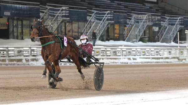 Foto: LARS JAKOBSSON / TR BILD