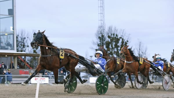 Foto: MARIA HOLMÉN / TR BILD