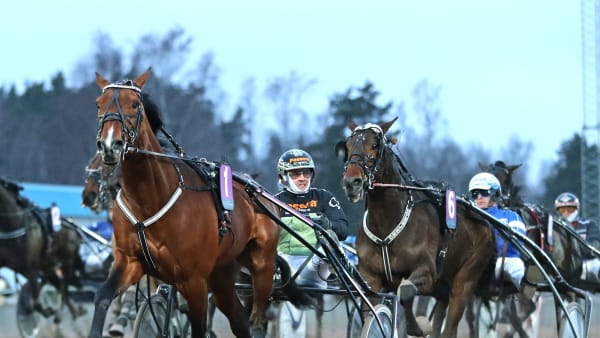 Foto: MARIA HOLMÉN / TR BILD