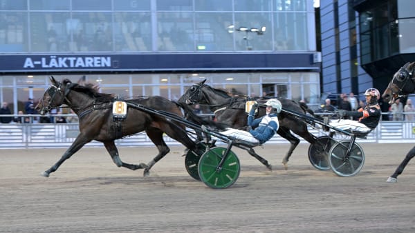 Foto: LARS JAKOBSSON / TR BILD