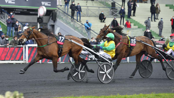 Foto: Jean-Luc Lamaère/LeTrot