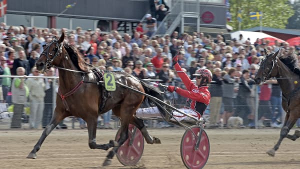 Foto: LARS JAKOBSSON / TR BILD