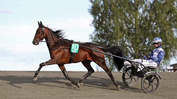 Foto: MARIA HOLMÉN / TR BILD