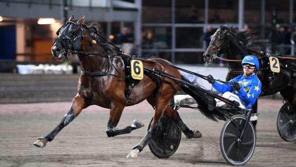 Foto: MALIN ALBINSSON / TR BILD