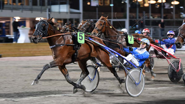 Foto: MALIN ALBINSSON/TR BILD