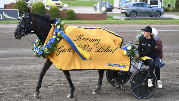 Foto: MALIN ALBINSSON / TR BILD