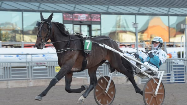 Foto: LARS JAKOBSSON / TR BILD