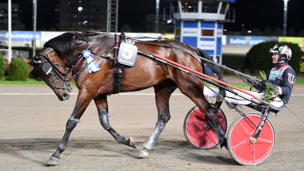 Foto: MALIN ALBINSSON / TR BILD