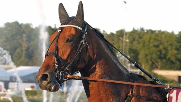 Foto: MARIA HOLMÉN / TR BILD