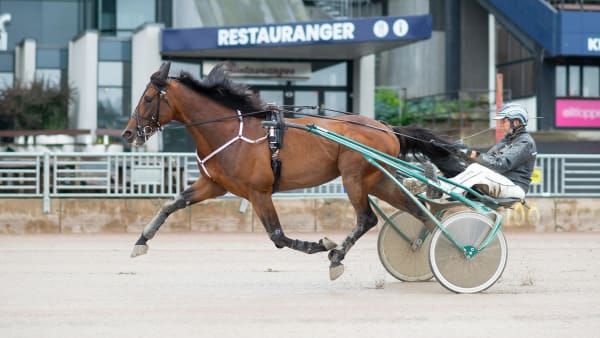 Foto: Emine Lundsten