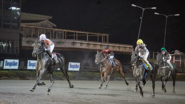 Foto: DAVID SCHREINER / TR BILD