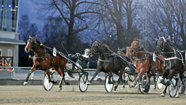 Foto: MARIA HOLMÉN / TR BILD