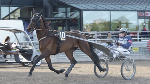 Foto: LARS JAKOBSSON / TR BILD