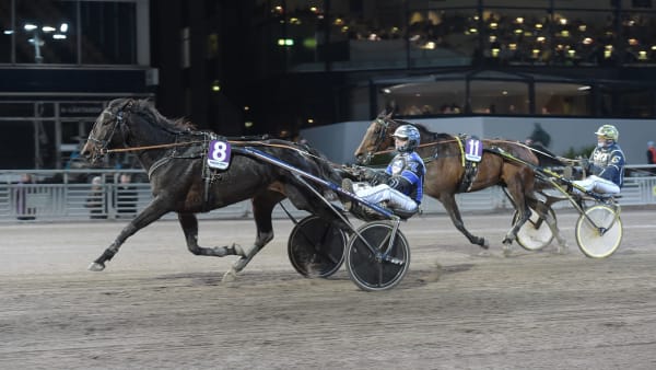 Foto: LARS JAKOBSSON / TR BILD