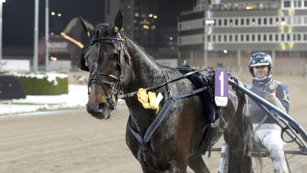 Foto: LARS JAKOBSSON / TR BILD