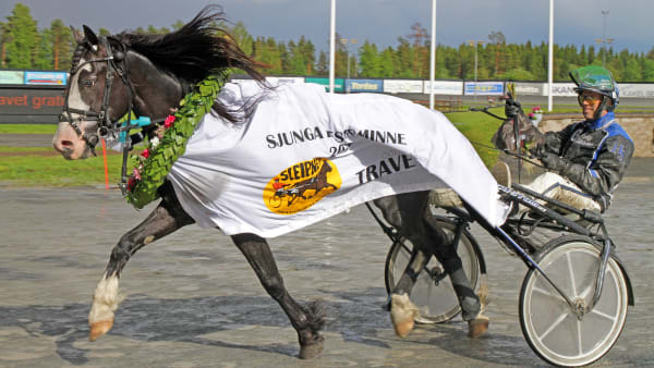 Foto: TOM JÖNEHAG