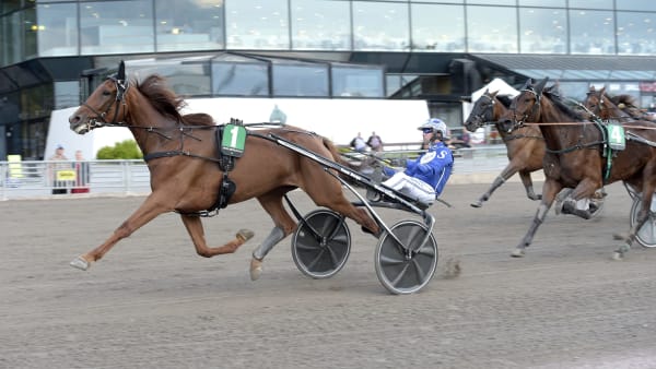 Foto: LARS JAKOBSSON / TR BILD