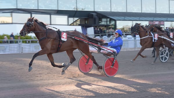 Foto: LARS JAKOBSSON / TR BILD