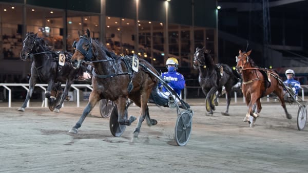 Foto: MIKAEL ROSENQUIST / TR BILD