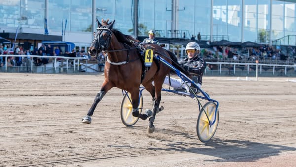 Foto: MIKAEL ROSENQUIST / TR BILD