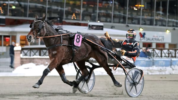 Foto: MARIA HOLMÉN / TR BILD