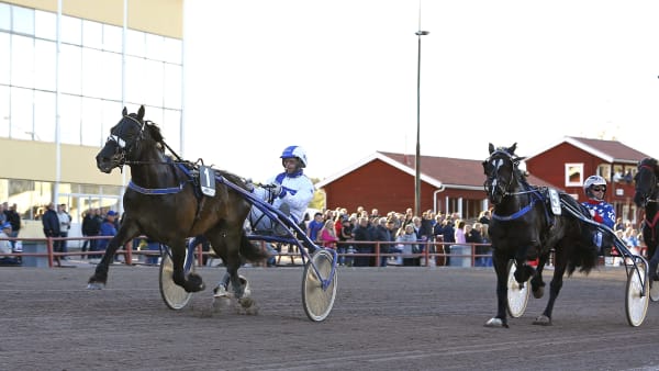 Foto: MARIA HOLMÉN / TR BILD