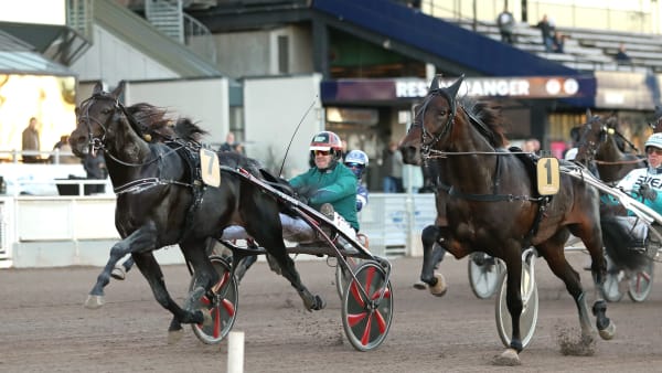 Foto: MARIA HOLMÉN / TR BILD