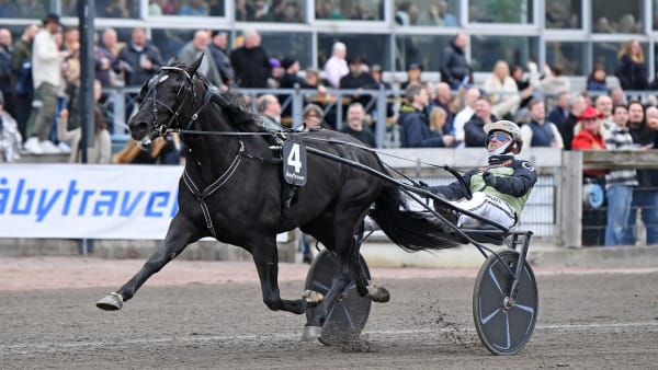 Foto: MALIN ALBINSSON / TR BILD
