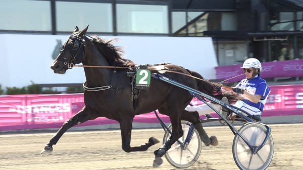 Foto: LARS JAKOBSSON / TR BILD